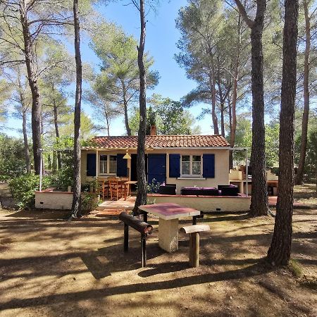 Maisonnette En Pleine Nature Le Beausset Bagian luar foto