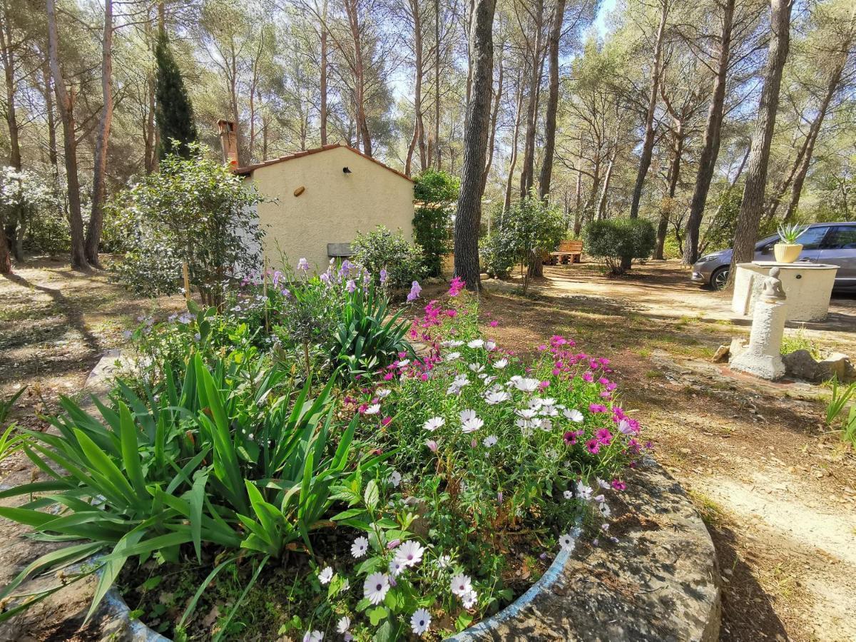 Maisonnette En Pleine Nature Le Beausset Bagian luar foto